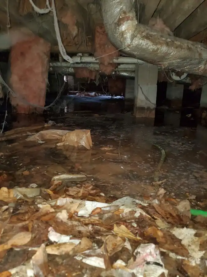 Crawl space flood assessment for Commercial Water Damage Restoration in Gentry