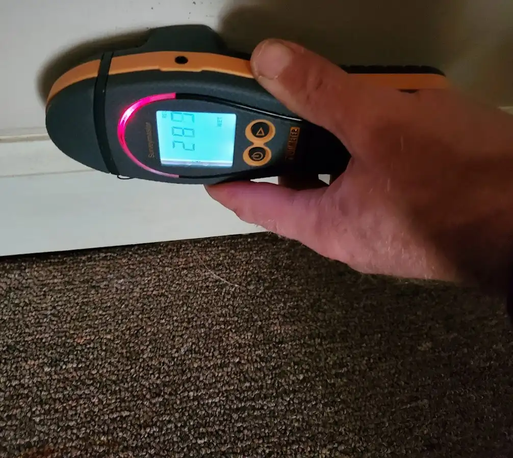 Moisture detection at baseboard during Mold Inspection & Testing in Gentry